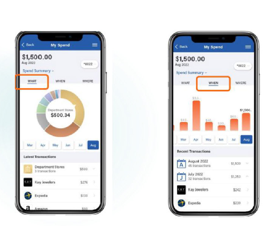 spending summary on mobile app